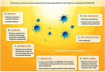 Investigating the Potential for Ultraviolet Light to Modulate Morbidity and Mortality From COVID-19: A Narrative Review and Update
